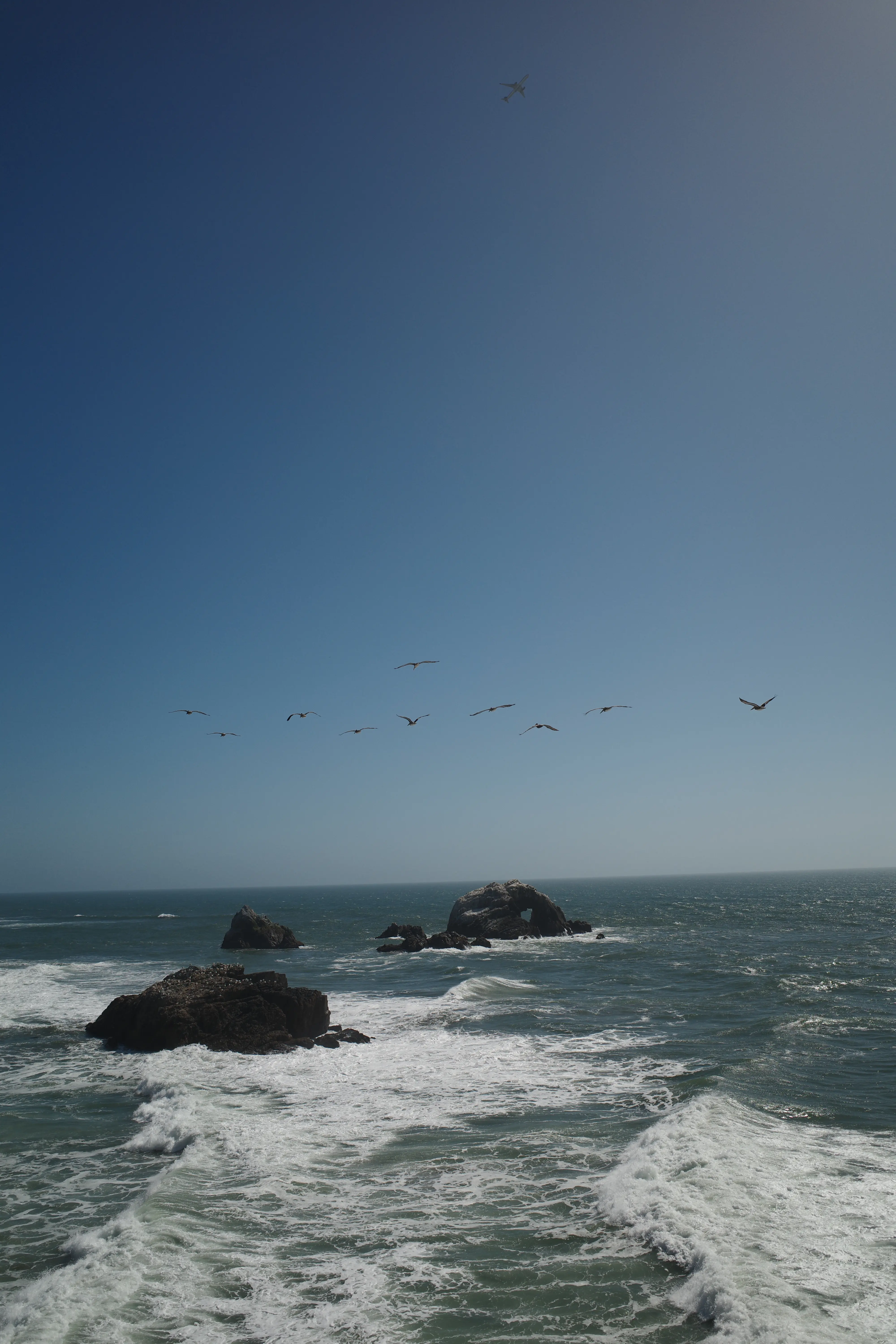 Photo from san francisco